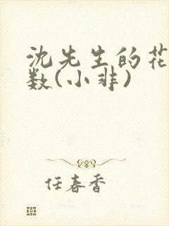 沈先生的花式调数(小非)