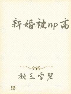 新婚被np高h