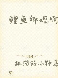 鲤鱼乡嗯啊