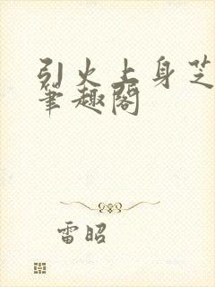 引火上身芝麻糖笔趣阁