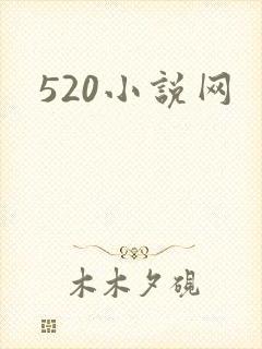 520小说网