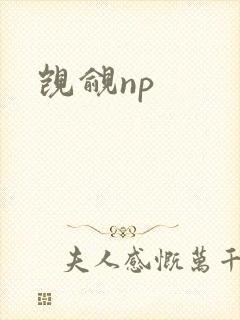 觊觎np