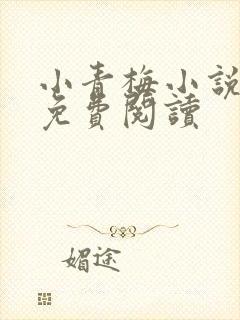 小青梅小说全文免费阅读
