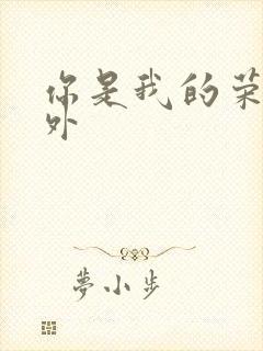 你是我的荣耀番外