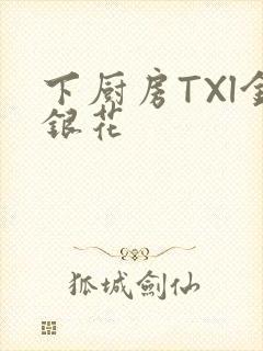 下厨房TXl金银花