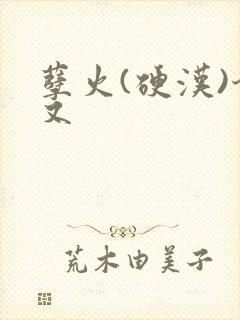 孽火(硬汉)今又