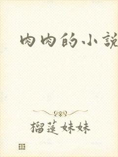 肉肉的小说
