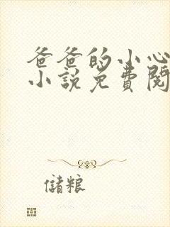爸爸的小心肝儿小说免费阅读