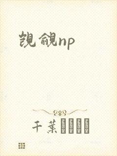 觊觎np