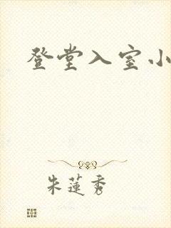 登堂入室小说