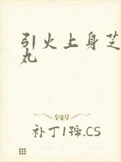 引火上身芝麻糖丸