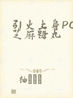 引火上身POP芝麻糖丸