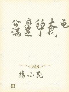 公么的大龟强大满足了我