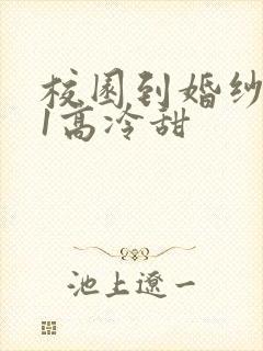 校园到婚纱1V1高冷甜