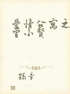 爱情公寓之极品曾小贤