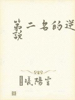 第二名的逆袭小说