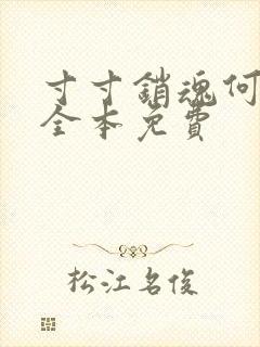 寸寸销魂何生祥全本免费