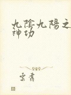九阴九阳之阴阳神功