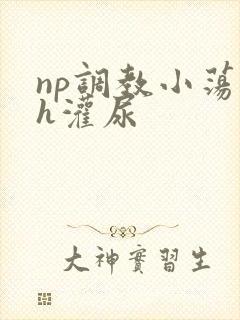 np调教小荡货h灌尿