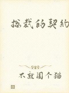 总裁的契约情人