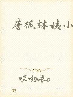 唐枫林姨小说