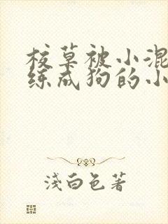 校草被小混混训练成狗的小说