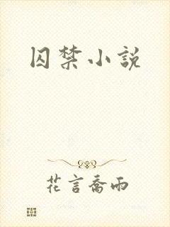囚禁小说