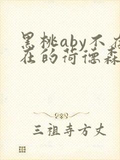 黑桃aby不存在的荷德森笔趣阁