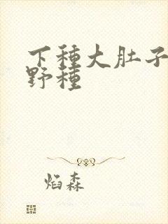 下种大肚子怀孕野种