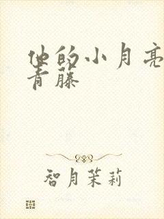 他的小月亮by青藤