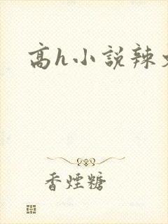 高h小说辣文