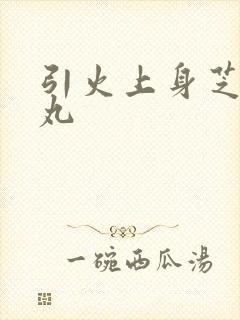 引火上身芝麻糖丸