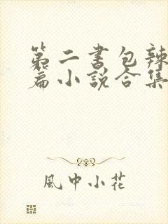 第二书包辣网短篇小说合集