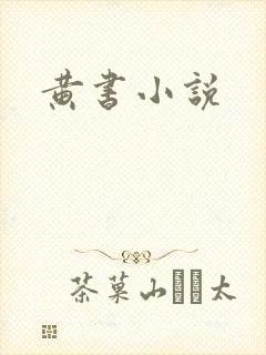 黄书小说