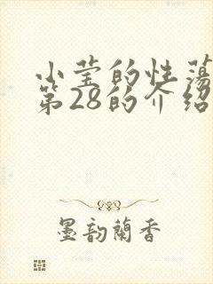 小莹的性荡生活第28的介绍