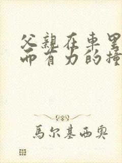 父亲在车里缓慢而有力的撞着