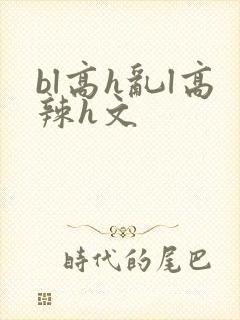 bl高h乱l高辣h文