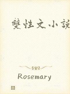 双性文小说