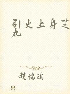 引火上身芝麻糖丸