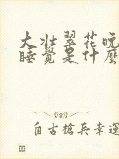 大壮翠花晚上不睡觉是什么电视剧