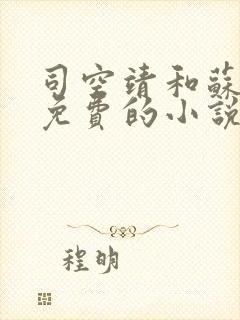 司空靖和苏月汐免费的小说笔趣阁