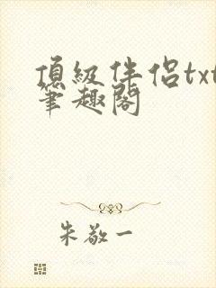 顶级伴侣txt笔趣阁