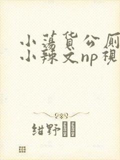 小荡货公厕h文小辣文np视频