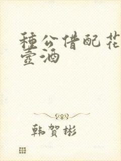 种公借配花间一壶酒