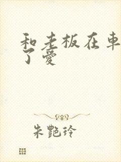 和老板在车里做了爱