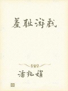 羞耻游戏封面