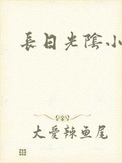 长日光阴小说