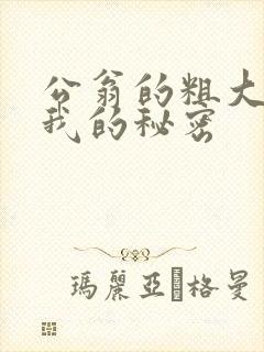 公翁的粗大放进我的秘密