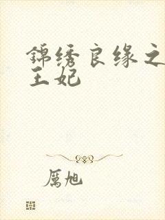 锦绣良缘之北地王妃