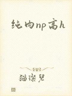 纯肉np高h